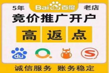SEM服务托管实战案例：提升品牌知名度